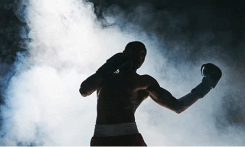 അ​ന്താ​രാ​ഷ്ട്ര പ്ര​ഫ​ഷ​ന​ൽ ബോ​ക്സി​ങ് 30ന്