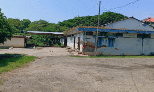 അറവുശാല നവീകരണം: തടസ്സം സർക്കാറും റവന്യൂ വകുപ്പുമെന്ന് കൗൺസിലർ