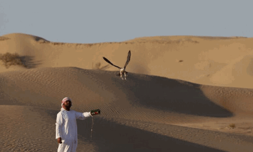 Traditional hunting season