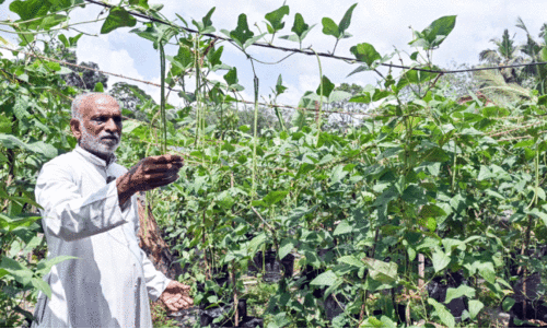 കവീക്കുന്നിന്‍റെ സ്വന്തം ‘കൃഷിയച്ചൻ’