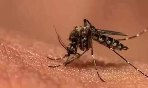 കൂടുതൽ കാർബൺ ഡൈഓക്സൈഡ് പുറന്തള്ളിയാൽ കൊതുകു കടിയും കൂടും; ശരിയോ തെറ്റോ?