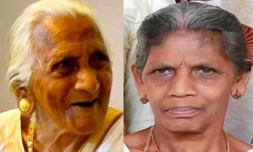 കടന്നൽ കുത്തേറ്റ് 108 കാരിയും മകളും മരിച്ചു