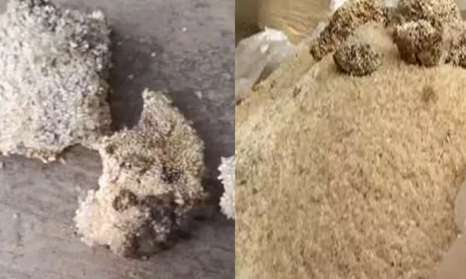 ഭക്ഷ്യകിറ്റ് പുഴുവരിച്ചെന്ന വാർത്ത; ഭക്ഷ്യ കമീഷൻ നടപടി സ്വീകരിച്ചു