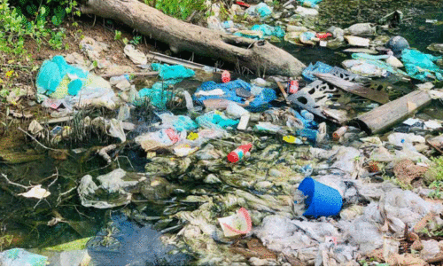 അശാസ്ത്രീയ മാലിന്യ സംസ്കരണം; 40,000 പിഴ അശാസ്ത്രീയ മാലിന്യ സംസ്കരണം; 40,000 പിഴ