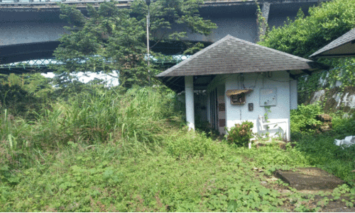 മണ്ഡലകാലം എത്തിയിട്ടും സ്നാനഘട്ടം വൃത്തിയാക്കാൻ നടപടിയില്ല മണ്ഡലകാലം എത്തിയിട്ടും സ്നാനഘട്ടം വൃത്തിയാക്കാൻ നടപടിയില്ല