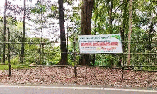 മാലിന്യം തള്ളാൻ ദേശീയപാത; മൂക്കുപൊത്തി യാത്രക്കാരും ടൂറിസ്റ്റുകളും മാലിന്യം തള്ളാൻ ദേശീയപാത; മൂക്കുപൊത്തി യാത്രക്കാരും ടൂറിസ്റ്റുകളും