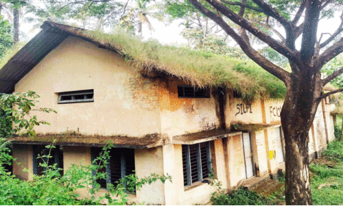 പൊളിച്ചുകളയുക അല്ലെങ്കിൽ പുനർനിർമിക്കുക; വനം വകുപ്പ് സാംസ്കാരിക നിലയം കാടുകയറി നശിക്കുന്നു