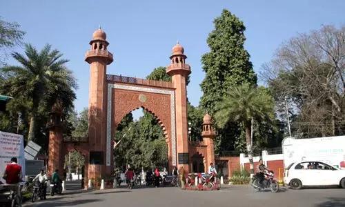 Aligarh Muslim University 87676