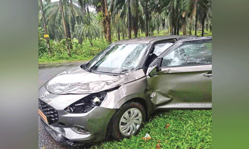 കാട്ടാനയെ ഇടിച്ച് സഞ്ചാരികളുടെ കാർ തകർന്നു കാട്ടാനയെ ഇടിച്ച് സഞ്ചാരികളുടെ കാർ തകർന്നു