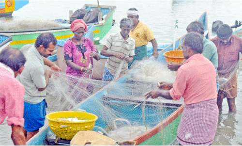മ​​ത്സ്യ​​ത്തൊ​​ഴി​​ലാ​​ളി​​ക്ക്​ ഇ​​ട​​മി​​ല്ലാ​​ത്ത ‘ന​​വ​​കേ​​ര​​ളം’