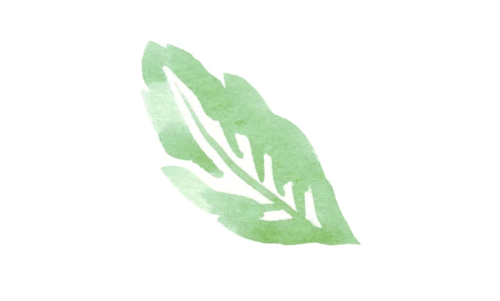 leaf