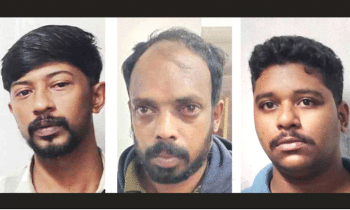 ആറുകിലോ കഞ്ചാവുമായി മൂന്നുപേർ പൊലീസ് പിടിയിൽ