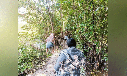 അരൂക്കുറ്റിയിൽ സാമൂഹിക വിരുദ്ധരുടെ താവളം വെട്ടിനിരത്തി