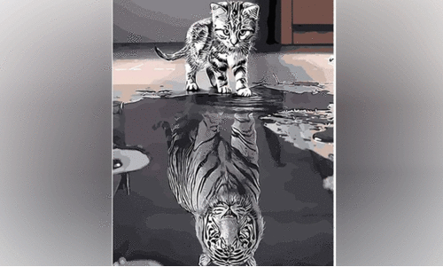 ഒറ്റമുറിയിലെ ഇര