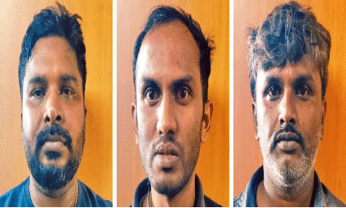 എ​ൽ.​എ​സ്.​ഡി സ്റ്റാ​മ്പും ക​ഞ്ചാ​വു​മാ​യി ക​ർ​ണാ​ട​ക സ്വ​ദേ​ശി​ക​ൾ പി​ടി​യി​ൽ