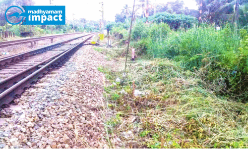 ശാസ്താംകോട്ട റെയിൽവേ ട്രാക്കിനോട് ചേർന്ന കാട് വൃത്തിയാക്കി