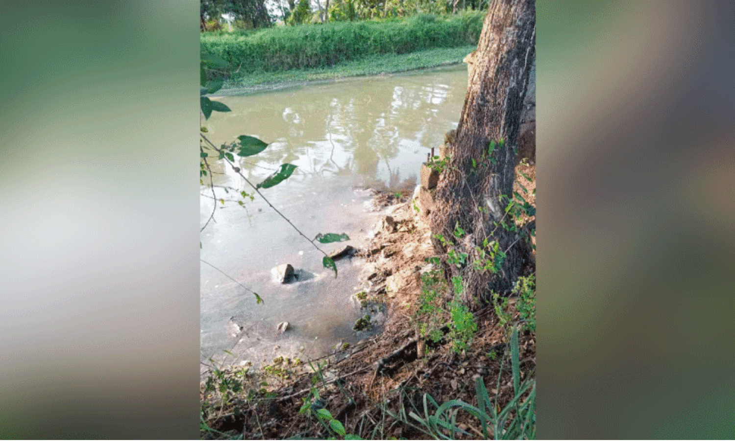 പുത്തൻ തോട്ടിൽ കക്കൂസ് മാലിന്യം തള്ളുന്നു; പ്രതിഷേധവുമായി നാട്ടുകാർ