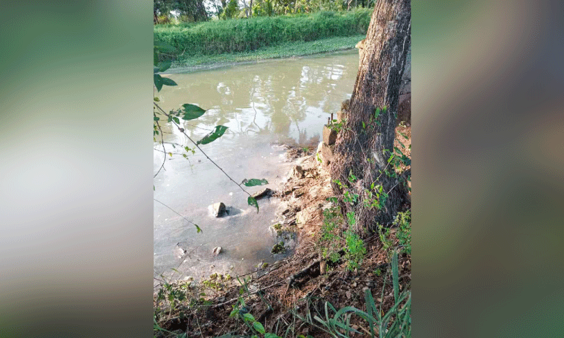 പുത്തൻ തോട്ടിൽ കക്കൂസ് മാലിന്യം തള്ളുന്നു; പ്രതിഷേധവുമായി നാട്ടുകാർ പുത്തൻ തോട്ടിൽ കക്കൂസ് മാലിന്യം തള്ളുന്നു; പ്രതിഷേധവുമായി നാട്ടുകാർ