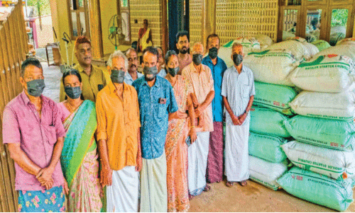 കൊ​യ്ത്ത് ക​ഴി​ഞ്ഞ് ഒ​ന്ന​ര മാ​സ​മാ​യി​ട്ടും നെ​ല്ല് സം​ഭ​രി​ച്ചി​ല്ല; മ​ണ്ണൂ​രി​ൽ വാ​യ്മൂ​ടി ക​ർ​ഷ​ക​രു​ടെ പ്ര​തി​ഷേ​ധം