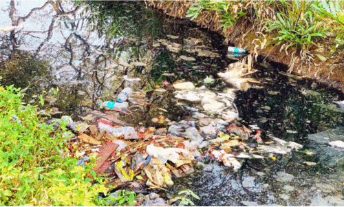 പ​ഴ​യ​ങ്ങാ​ടി​യി​ൽ അ​ശാ​സ്ത്രീ​യ മാ​ലി​ന്യ സം​സ്ക​ര​ണം; ജി​ല്ല എ​ൻ​ഫോ​ഴ്സ്മെ​ന്‍റ് സ്ക്വാ​ഡ് 40,000 രൂ​പ പി​ഴ​യി​ട്ടു