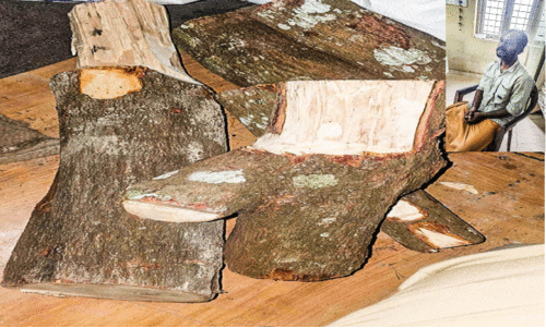 45 കിലോ ചന്ദനത്തടിയുമായി മുന്‍ പൊലീസ് കമാൻഡോ അംഗം പിടിയില്‍