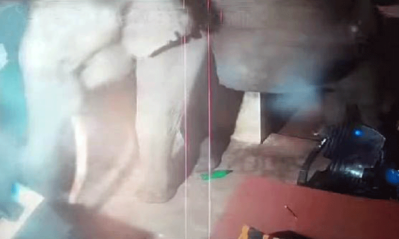 മു​ത്ത​ങ്ങ എ​ക്സൈ​സ് ഓ​ഫി​സി​ൽ കാ​ട്ടു കൊ​മ്പ​ന്റെ റെ​യ്ഡ്