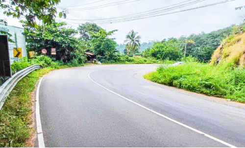 ചാമപ്പാറ വളവിൽ അപകടക്കെണി: സുരക്ഷക്രമീകരണങ്ങൾ അകലെ