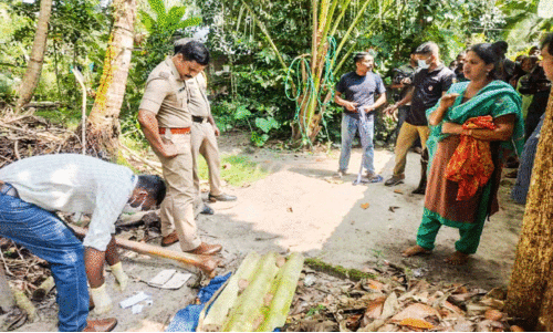 കോമളപുരത്ത് ഉറങ്ങിക്കിടന്ന വീട്ടമ്മമാരുടെ മാല കവർന്നു