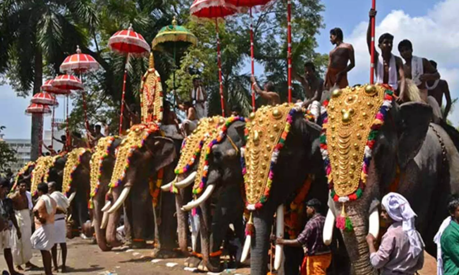 ജനങ്ങളിൽനിന്ന് എട്ട് മീറ്റർ അകലം പാലിക്കണം, ബാരിക്കേഡ് വേണം; ആന എഴുന്നള്ളിപ്പിന് മാർഗരേഖയുമായി ഹൈകോടതി