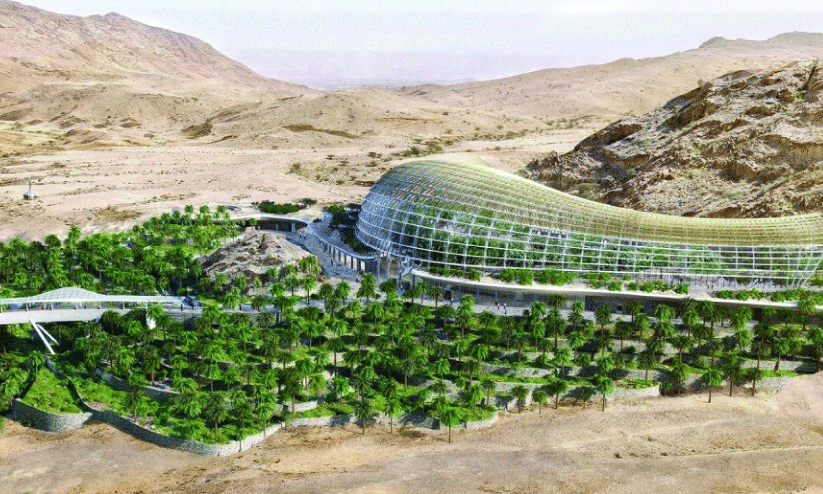 ഒമാൻ ബൊട്ടാണിക് ഗാർഡൻ ഒമാൻ ബൊട്ടാണിക് ഗാർഡൻ