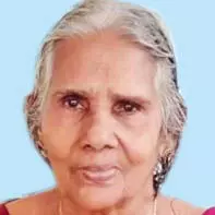 പെ​ണ്ണൂ​ട്ടി