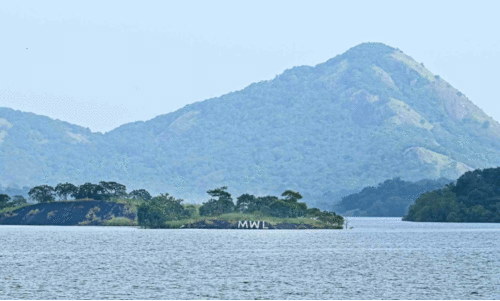 Second crop cultivation ,