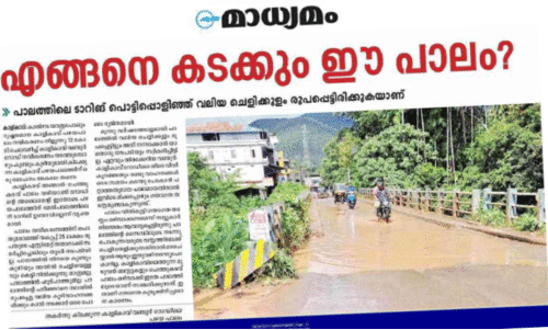 കാ​ളി​കാ​വ് പ​ഴ​യ​പാ​ലം ടാ​റി​ങ് ന​ട​ത്താ​ൻ തീ​രു​മാ​നം
