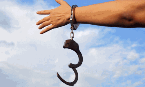 കഞ്ചാവ്​ ചെടി വളർത്തിയെന്ന കേസിൽ പ്രതിയെ വെറുതെവിട്ടു