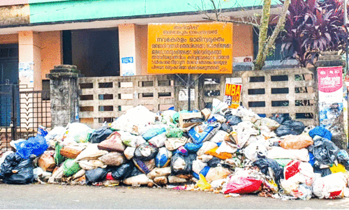 വ്യാപാരികളും യാത്രക്കാരും ദുരിതത്തിൽ; ബാലരാമപുരം-വിഴിഞ്ഞം റോഡിൽ മാലിന്യം കുന്നുകൂടുന്നു