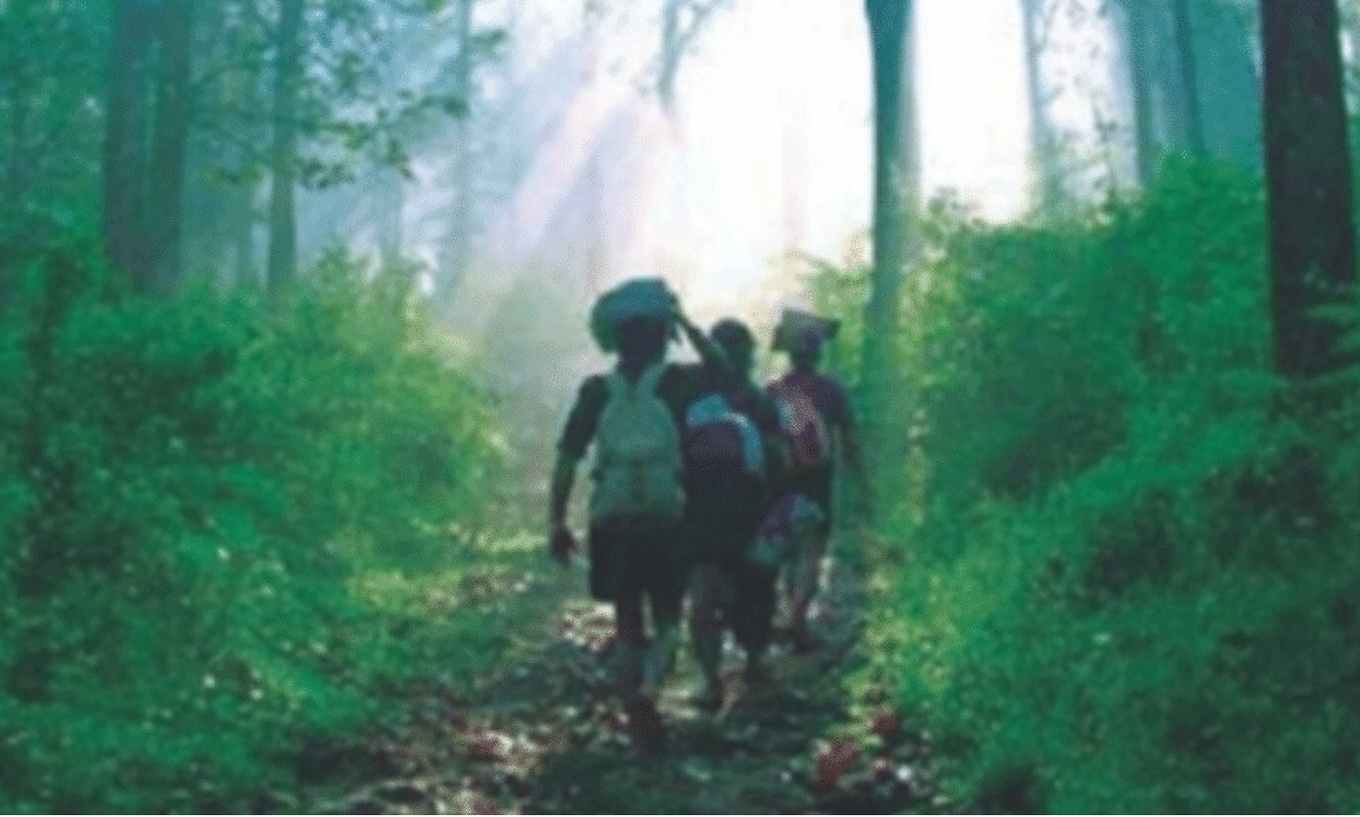 ശബരിമല നട തുറന്നു: പൂങ്കാവനം ലഹരിമുക്തം; മുന്നറിയിപ്പ് ഫലകങ്ങൾ സ്ഥാപിച്ചു