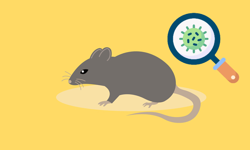 എ​ലി​പ്പ​നി വി​ല്ല​നാ​കു​ന്നു; ക​രു​ത​ൽ വേ​ണം