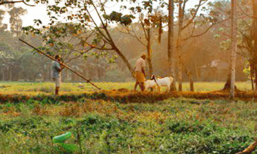 short film short film