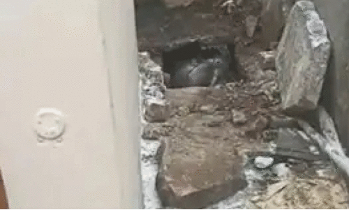 യു​വ​തി​യു​ടെ ന​ഗ്ന മൃ​ത​ദേ​ഹം അ​ഴു​കി​യ നി​ല​യി​ൽ