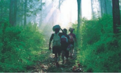 ശബരിമല നട തുറന്നു: പൂങ്കാവനം ലഹരിമുക്തം; മുന്നറിയിപ്പ് ഫലകങ്ങൾ സ്ഥാപിച്ചു