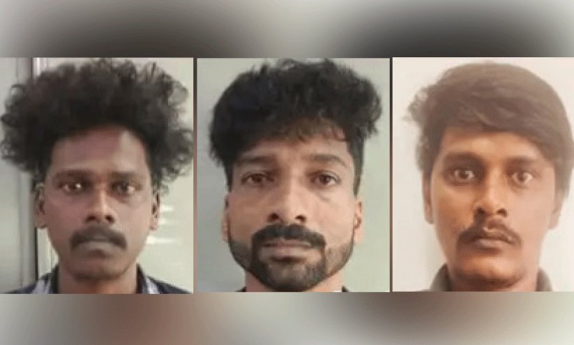 കഞ്ചാവുമായി മൂന്നുപേർ അറസ്റ്റിൽ കഞ്ചാവുമായി മൂന്നുപേർ അറസ്റ്റിൽ