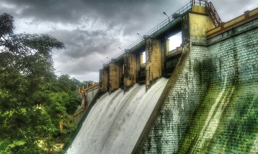 പീ​ച്ചി ഡാം ​തു​റ​ക്ക​ല്‍: ഇ​ട​പെ​ട്ട് മു​ഖ്യ​മ​ന്ത്രി