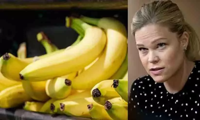 paulina brandberg paulina brandberg