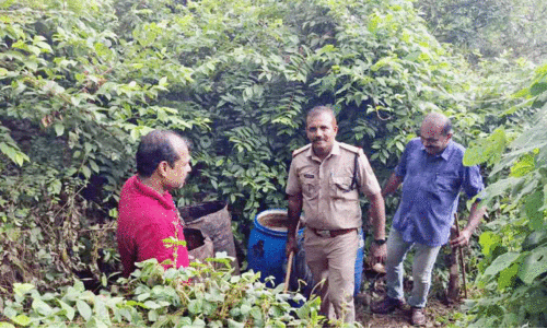 പൊ​ന്ത​ക്കാ​ട്ടി​ൽ സൂ​ക്ഷി​ച്ച 850 ലി​റ്റ​ർ വാ​ഷ് ക​ണ്ടെ​ത്തി