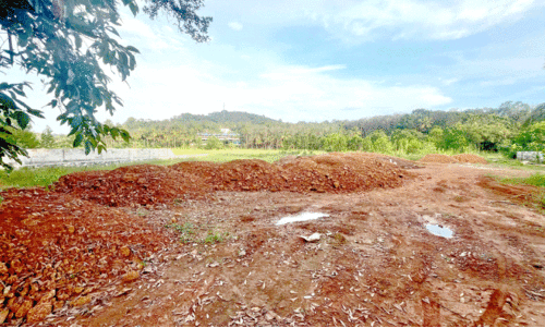 ഇടമൺനില ഏലായിൽ വ്യാപക വയൽനികത്തൽ പരാതിയിലും നടപടിയില്ല