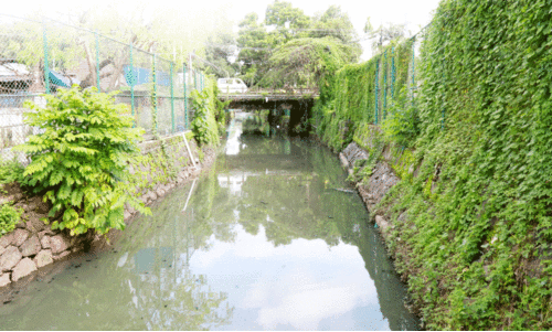 സ്മാർട്ടാകാനൊരുങ്ങി നഗര കനാലുകൾ; ലക്ഷ്യം ജലഗതാഗതമുൾപ്പെടെ വിപുല സൗകര്യങ്ങൾ