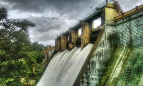 പീ​ച്ചി ഡാം ​തു​റ​ക്ക​ല്‍: ഇ​ട​പെ​ട്ട് മു​ഖ്യ​മ​ന്ത്രി