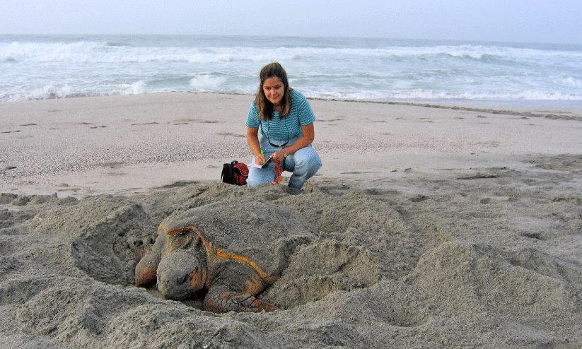 Masirah Island Masirah Island