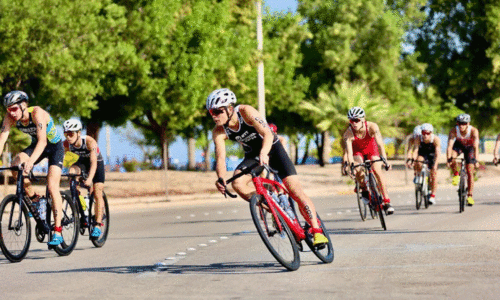 ഏ​ഷ്യ ട്ര​യാ​ത്ത്‍ല​ൺ ചാ​മ്പ്യ​ൻ​ഷി​പ്