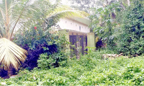 നിസ്സംഗത തുടർന്ന് അധികൃതർ... ആശുപത്രി കെട്ടിടം കാടുകയറി നാശത്തിന്റെ വക്കിൽ നിസ്സംഗത തുടർന്ന് അധികൃതർ... ആശുപത്രി കെട്ടിടം കാടുകയറി നാശത്തിന്റെ വക്കിൽ